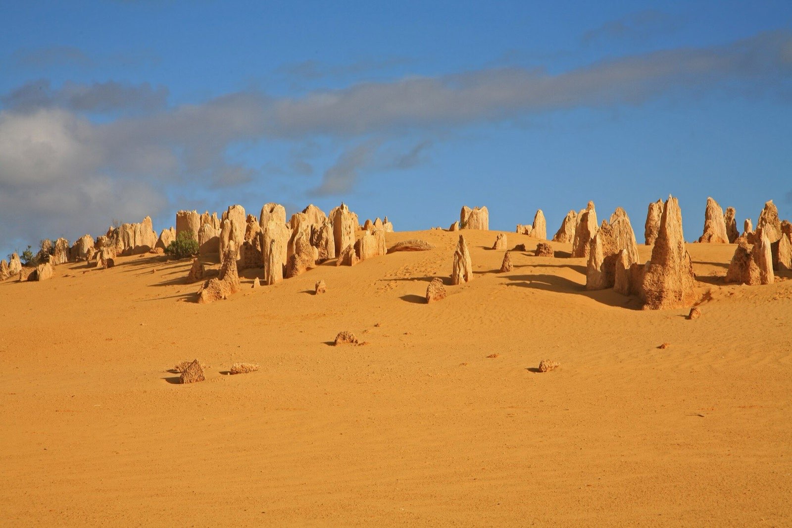 Pinnacle field and dune sand.